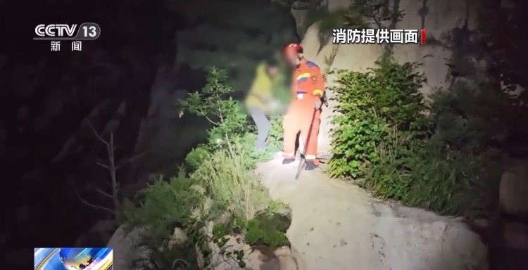 有可能导致, entit, img